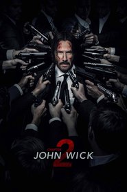 Assistir John Wick – Um Novo Dia Para Matar  Online