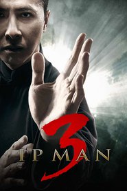 Assistir Ip Man: O Grande Mestre 3 Dublado Online