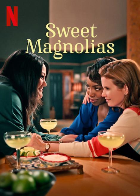 assistir-doces-magnolias-online-serie-netflix