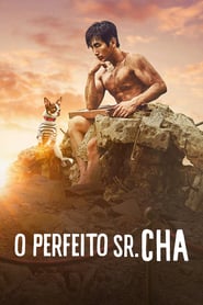 o-perfeito-sr-cha-dublado-online