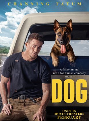 Assistir Dog 2022 Dublado Online