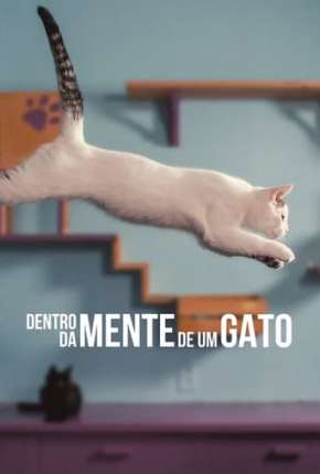 Dentro da Mente de um Gato Legendado Online