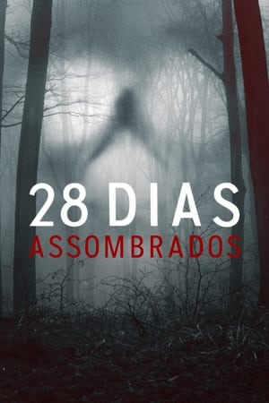 Assistir 28 Dias Assombrados Online